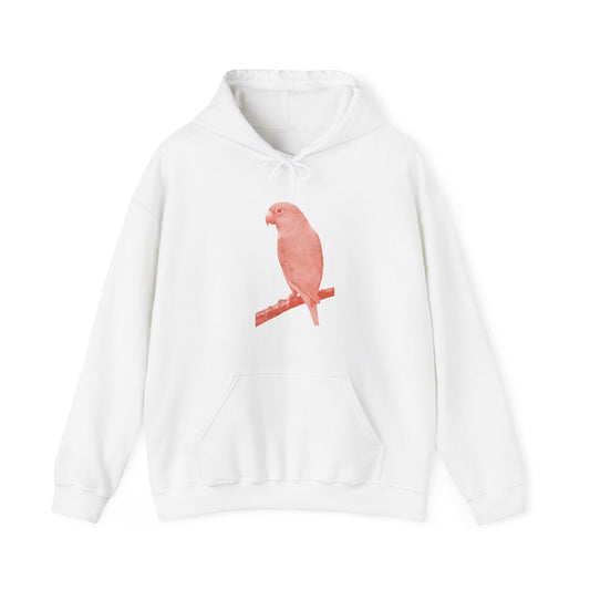 "Parrot" Hoodie